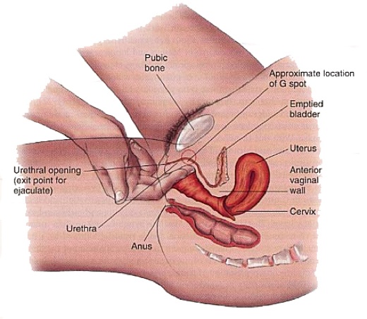 finding-the-female-g-spot-1