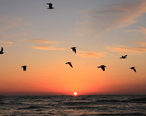 Emotional Freedom