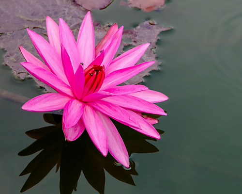 Tantric Journey Yoni Massage