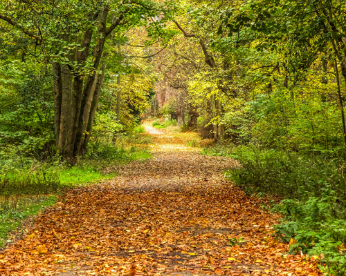 Tantric Journey - Getting started on the Tantric Path
