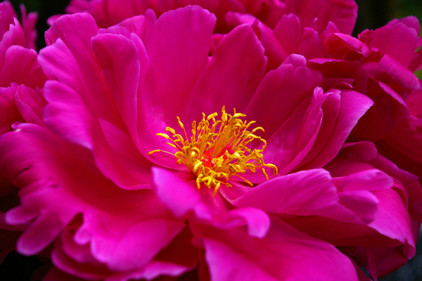 Learning to accept the gift of receiving Tantric Journey