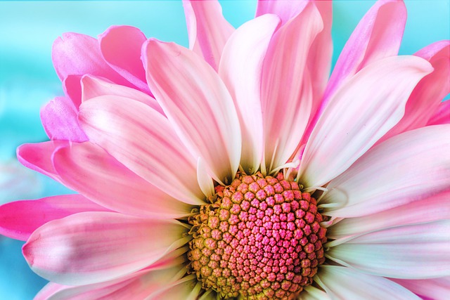 Tantric Journey therapist blog Tantra Retreat Spain